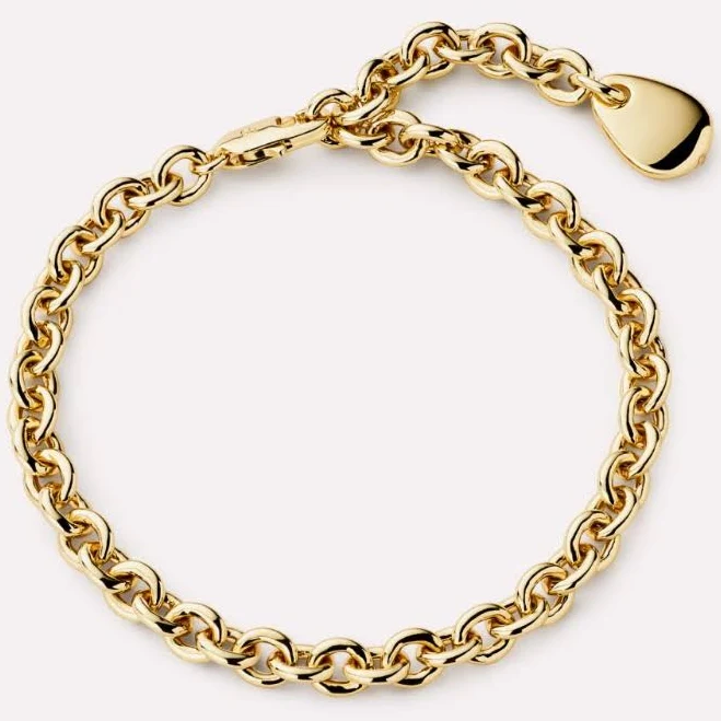 accessory 14K Gold Charm Bracelet Ana Luisa $75