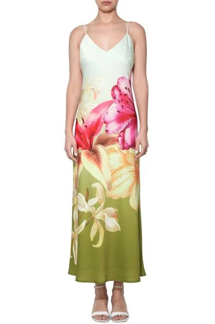 dress Adelyn Rae Cecilia Gradient Floral Print Slipdress Nordstrom $140