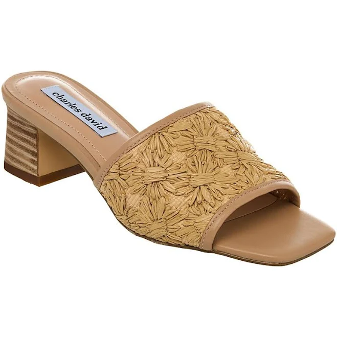 shoes Charles David Women's Raffi Slide Sandals HSN $45.49