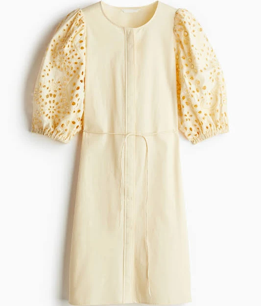 dress H&M Ladies Eyelet-Embroidered Dress H&M $34.99