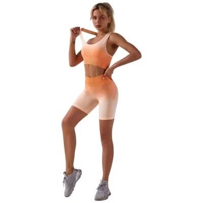matching set Slickblue Seamless Gradient Activewear Set Target $35.99