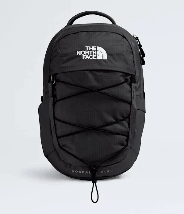 bag The North Face Borealis Mini Backpack The North Face $65