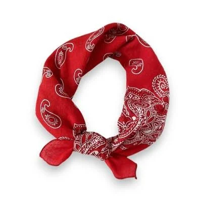 Anna-Kaci Cotton Paisley Bandana Scarf