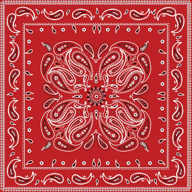 Paisley Bandana