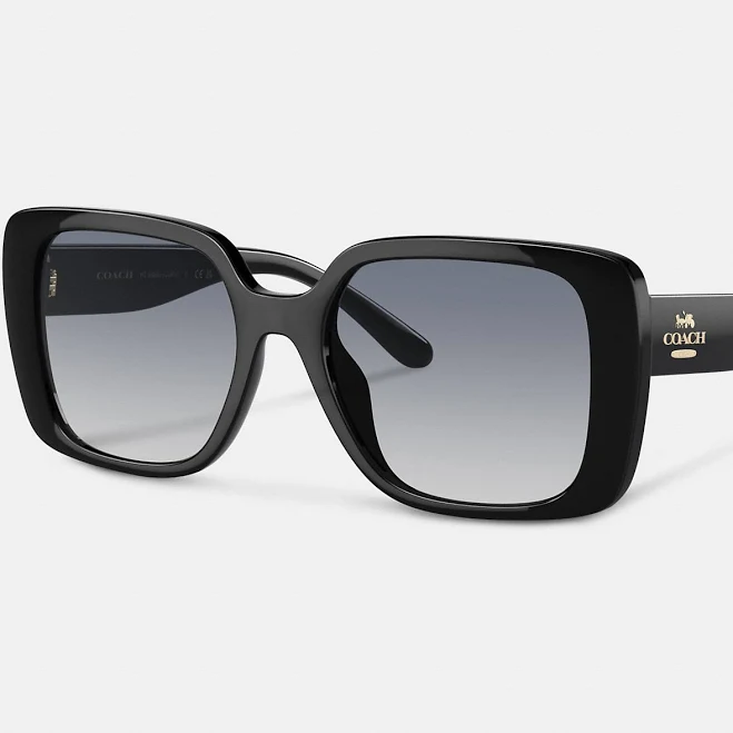 Coach Ladies Oversized Square Sunglasses